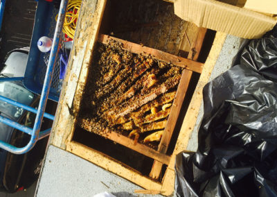 Honey removal