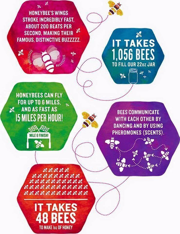 bee lore infographic
