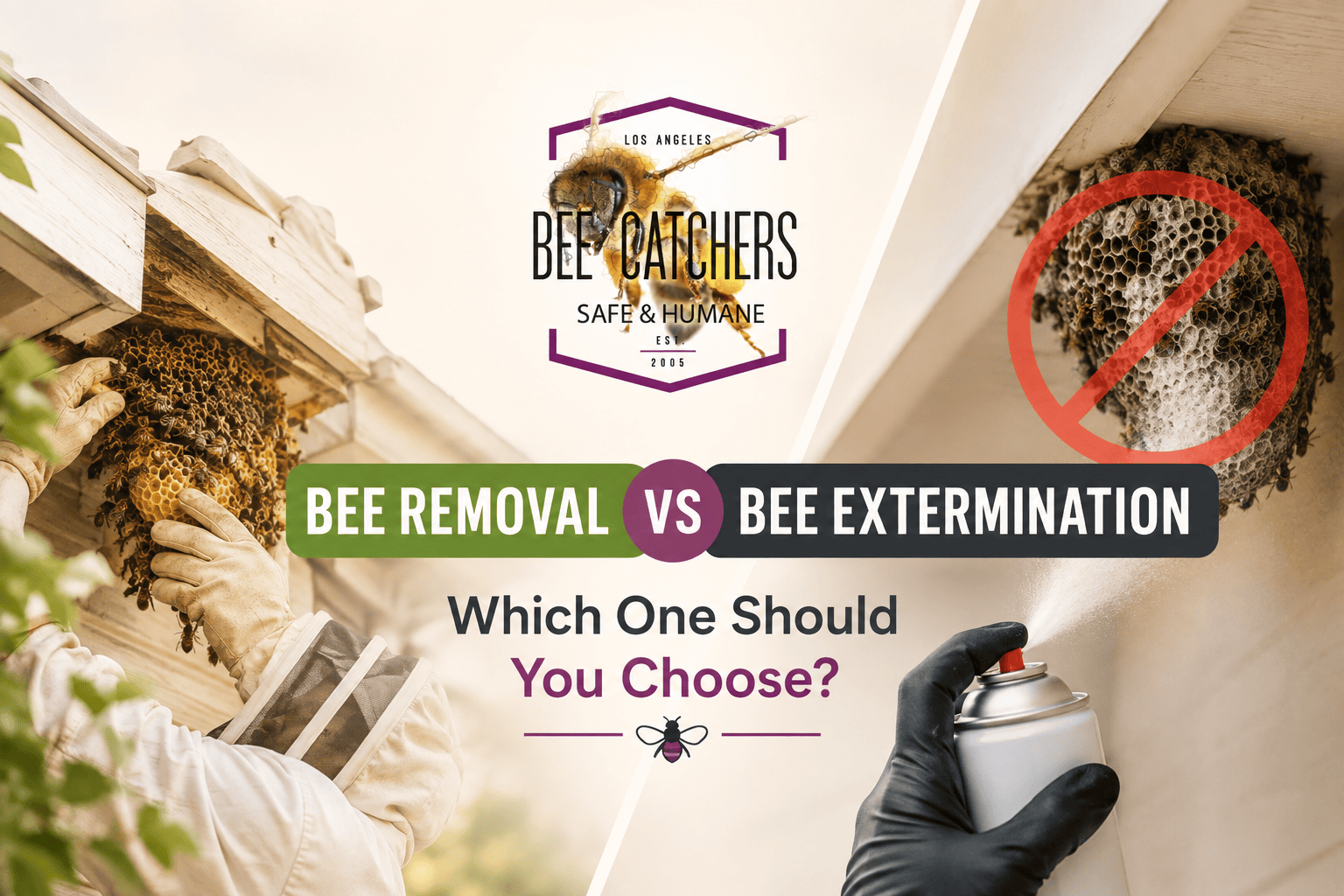 Bee Removal vs Bee Extermination: Which One Should You Choose?
