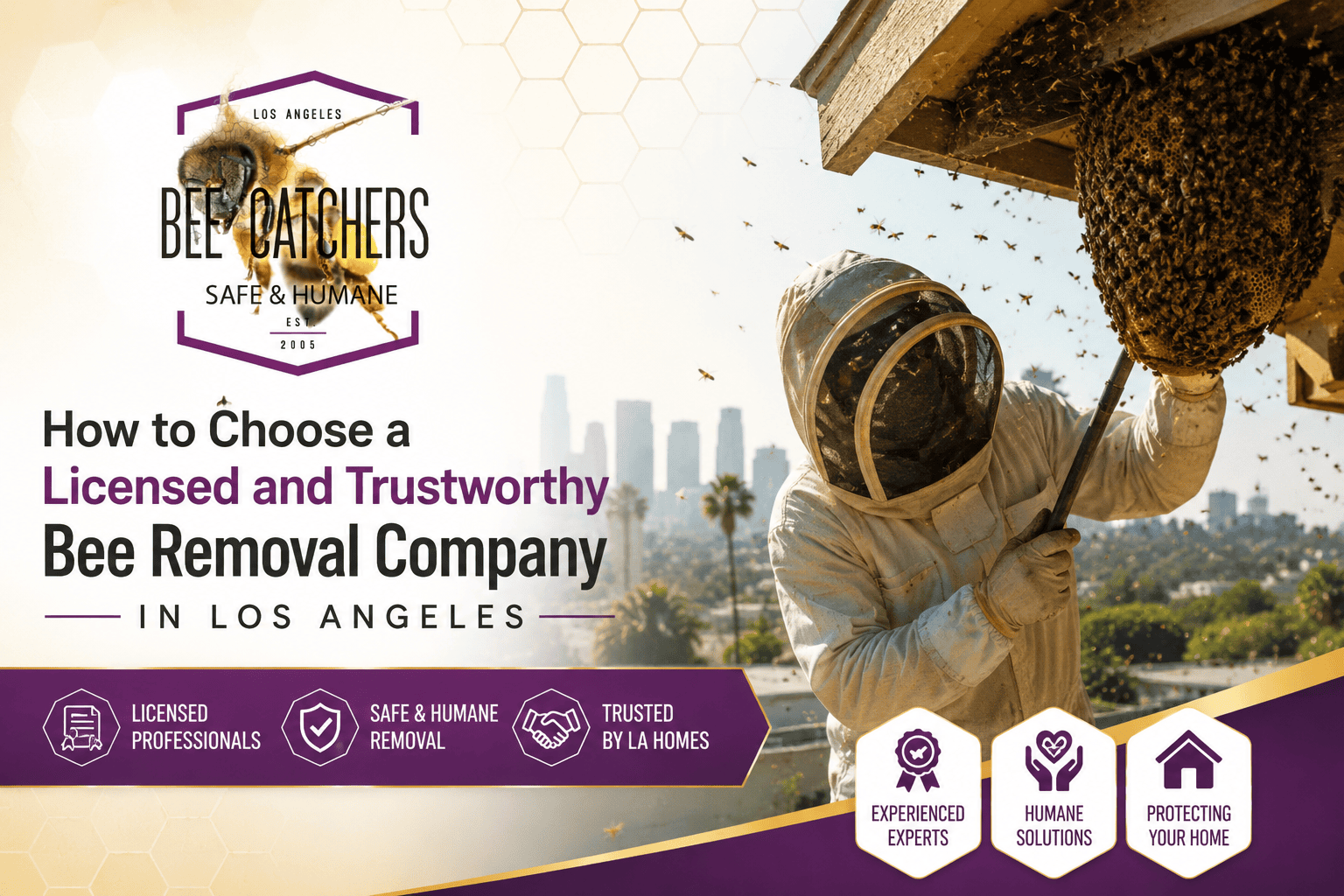 How to Choose a Licensed and Trustworthy Bee Removal Company in Los Angeles