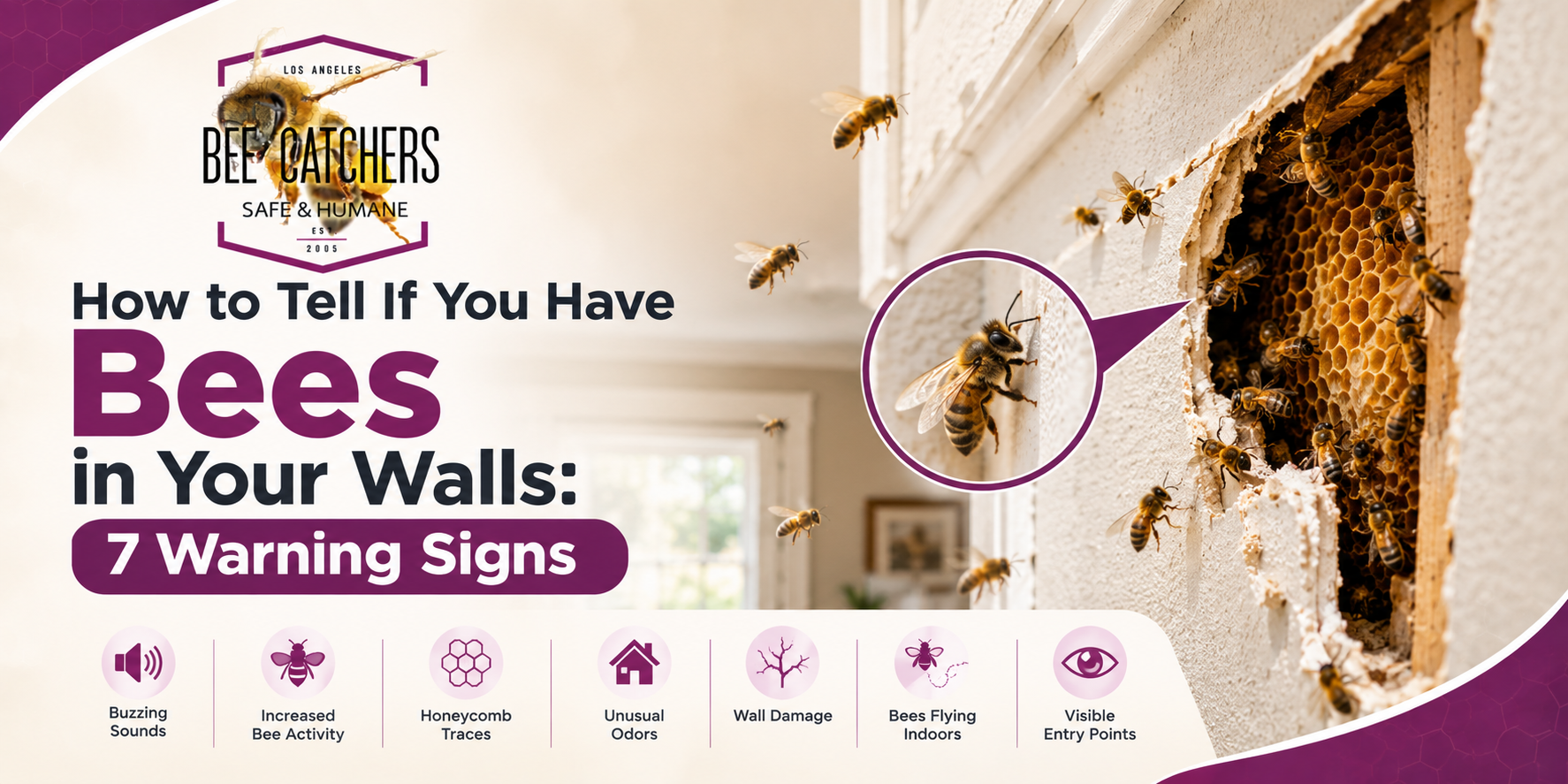 Bee Warning Signs in Your Walls