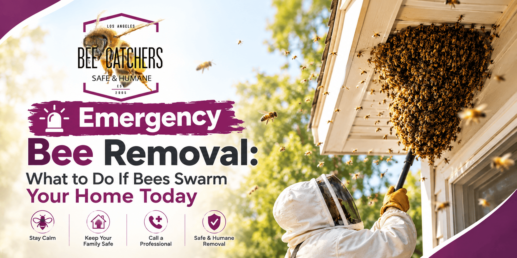 Emergency Bee Removal: What to Do If Bees Swarm Your Home Today