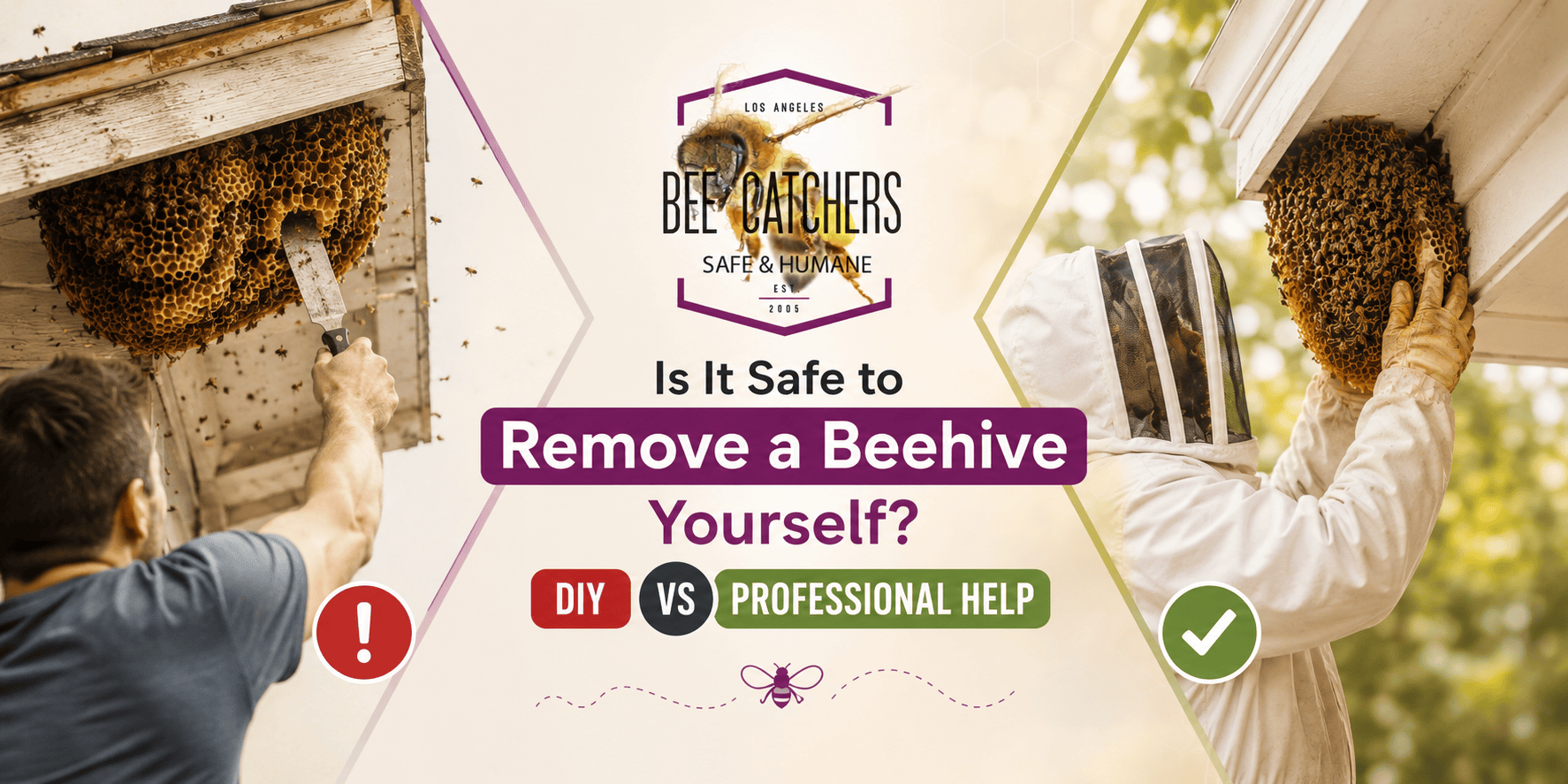 Is It Safe to Remove a Beehive Yourself? DIY vs Professional Help