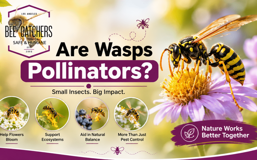 Wasps Nature’s Essential Pollinators