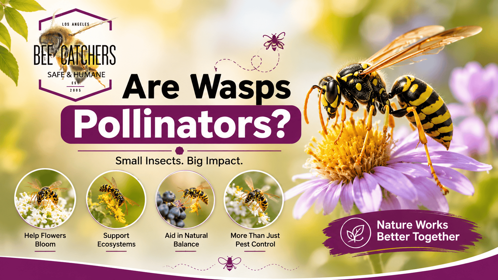 Are Wasps Pollinators? What Southern California Homeowners Need to Know